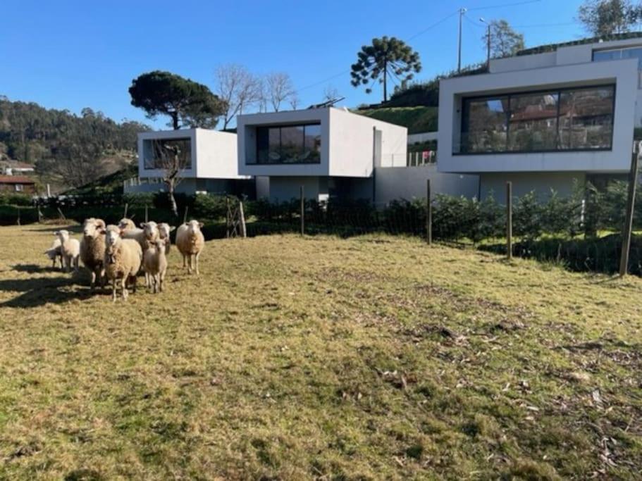 Viana Do Castelo - Amonde Village -Casa A * Relax Eksteriør billede