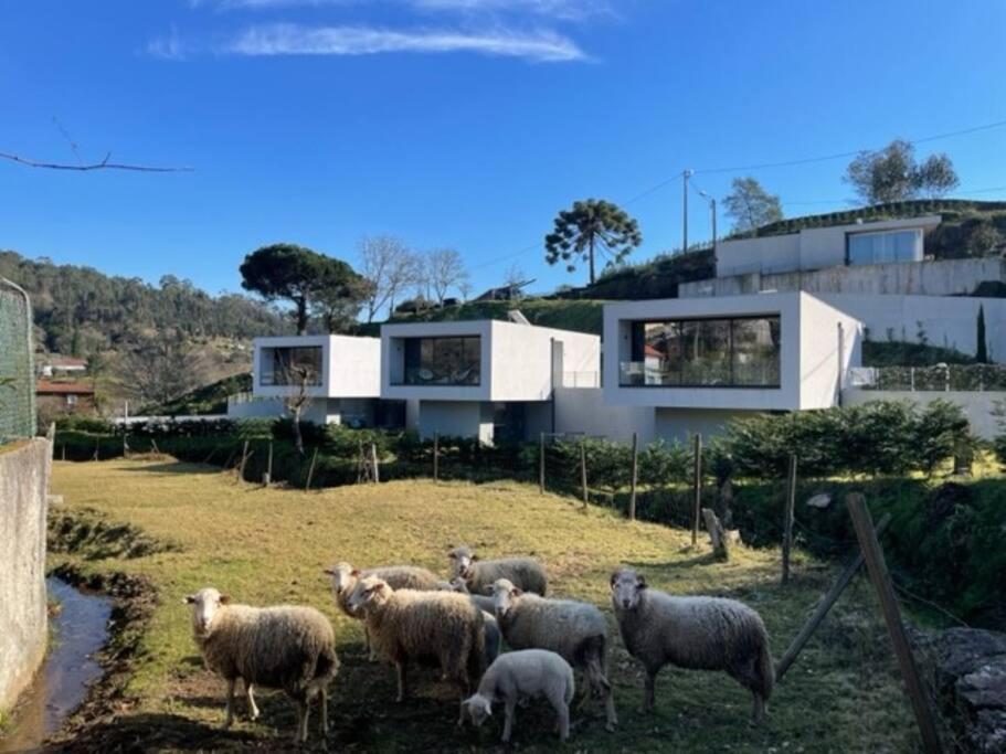 Viana Do Castelo - Amonde Village -Casa A * Relax Eksteriør billede